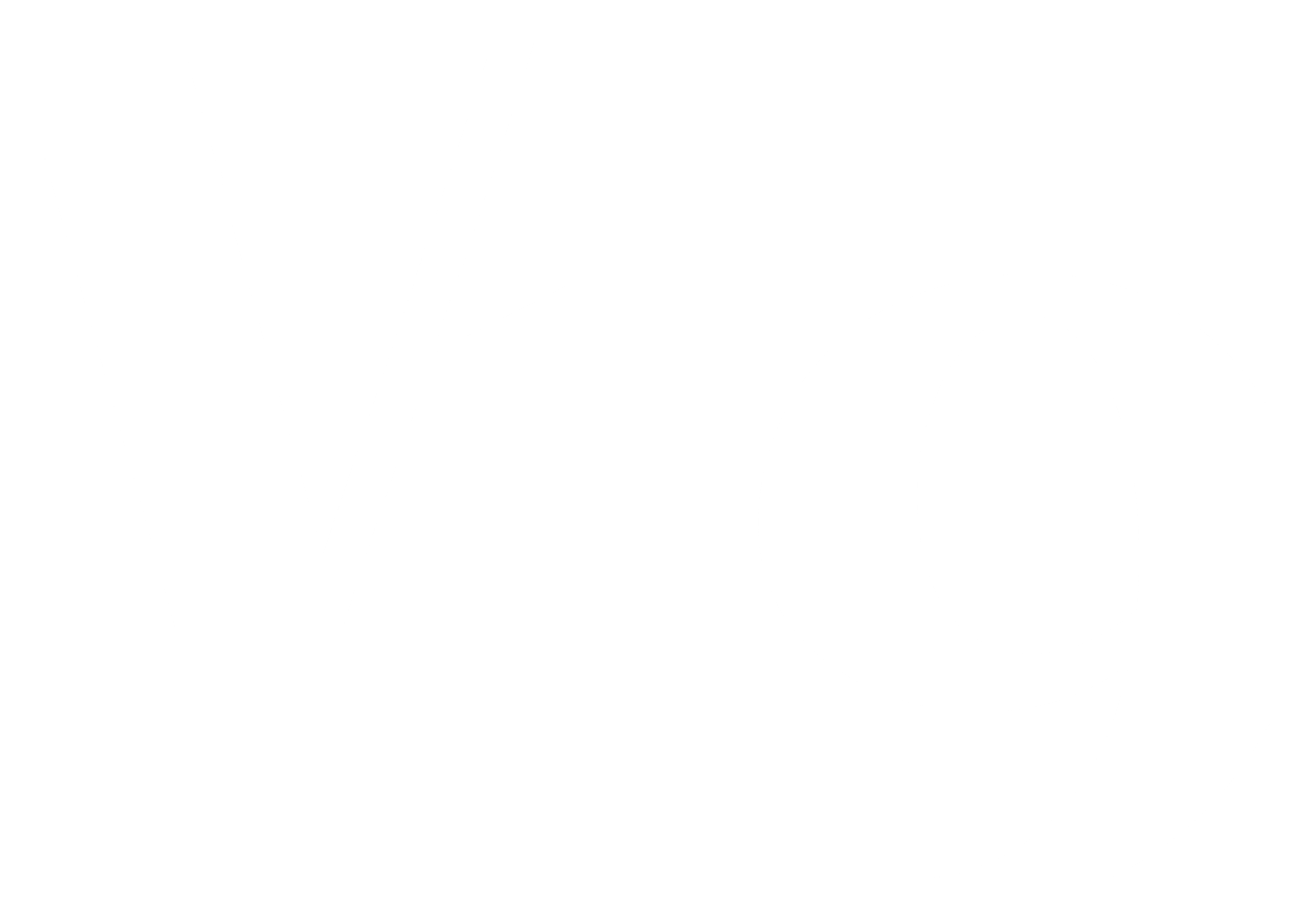 V19